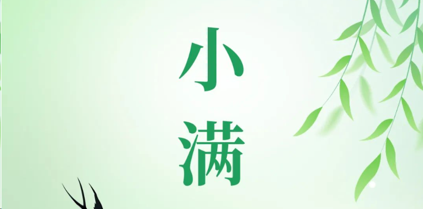 今日小滿|溫風拂穗 小得盈滿